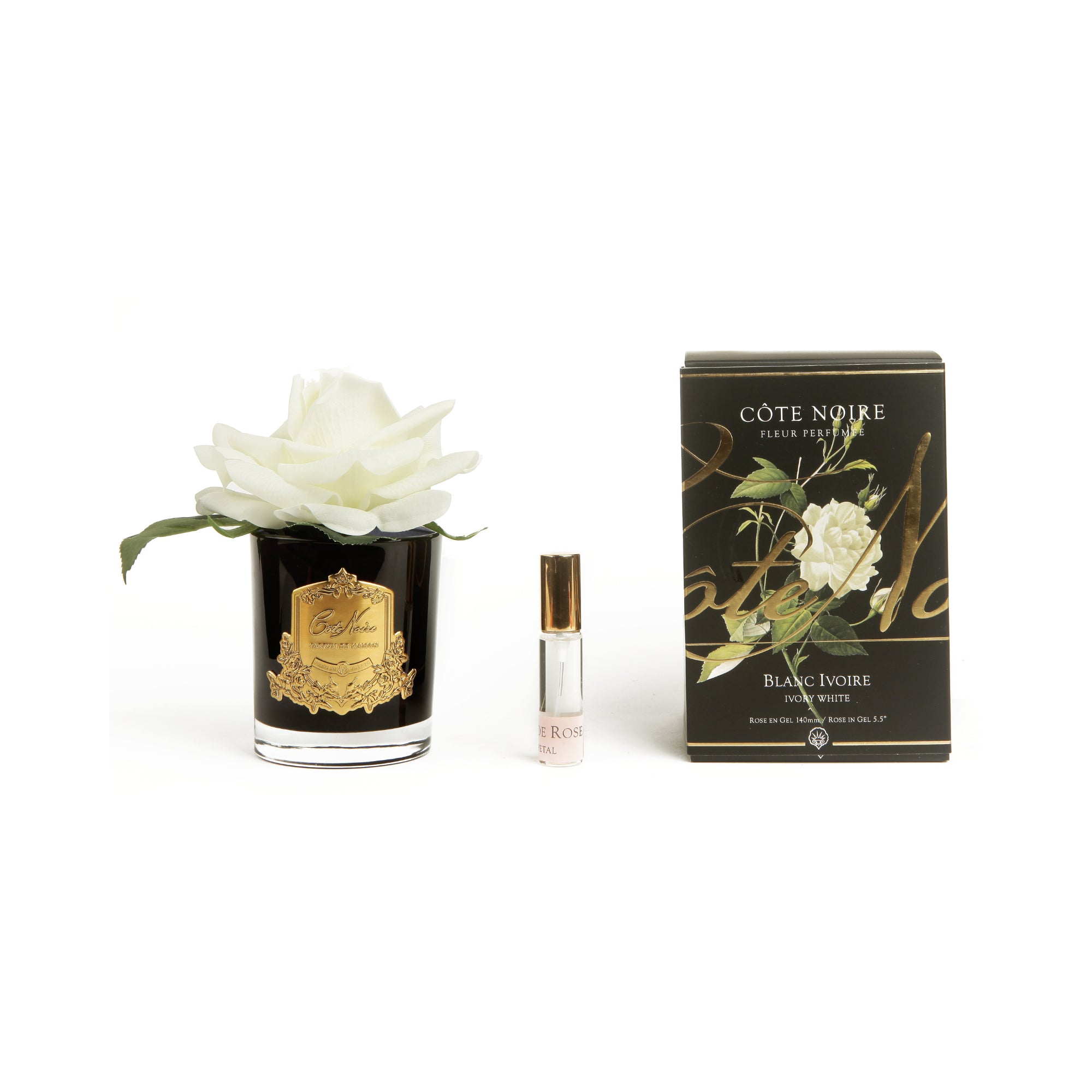 Cote Noire Single Rose - Black Gold - Pink Blush